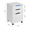 Mobile Filing Cabinet Printer Stand 3 Drawer Storage Unit File Drawer Lockable