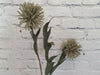 Stunning Selection of Artificial & Dried Flowers For Home Decor, Stems & Bunches