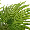Artificial Palm Tree Potted Plant Indoor Outdoor Garden Home Office Green Plants