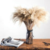 100/50 Pcs Wedding Dried Reed Bundle Pampas Grass Bouquet Flower Party Decor.