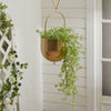 Wall Hanging Planter Flower Pot Metal Basket Bowl Decor Garden Indoor Black/Gold