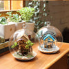 Glass Clear Open Mouth Baubles Round Candle Tea Light Holder Hanging Tree Plant