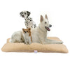 Bingo Paw Dog Bed Pet Lounger Deluxe Cushion for Crate Foam Soft - Large M L XL