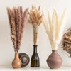 15/50PCS Artificial Dried Pampas Grass Reed Rabbit Tail Grass Flower Bunch Decor