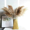 10x Natural Dried Pampas Grass Reed Flower Bunch Wedding Bouquet Home Decor