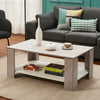 Coffee Table 2 Tier Console Table Bottom Shelf Storage Retro Living Room Table