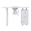 Professional Manicure Table Salon Nail Station Beauty Desk +Dust Collector White