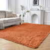 Large Fluffy Rugs Anti Slip Bedroom Carpet Soft Shaggy Rug Living room Floor Mat