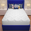 3000 Comfy Pocket Sprung Memory Foam Mattress Single Double Modern Design