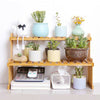 Home Office Desk Storage Rack Wooden Slat Succulent Plant Stand Organizer Shelf