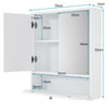 Bathroom Mirror Cabinet Wall Mounted Storage Cupboard Double Door + Compartment