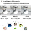 Sliver Metal LED Ceiling Fan Light 3 Dimmable Color Remote Control Bedroom Decor