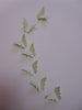 20 3d PEARLESCENT BUTTERFLY TOPPER WALL DECORATION DECOR STICKERS GIRLS ROOM cur