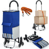 2 IN 1 35L Folding Shopping Trolley Truck Grocery Luggage Carrier Bag 2 Wheels