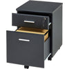 Two Drawer A4 Suspension Filing Pedestal for Home Office - Piranha Blenny PC 10g