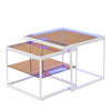 LED Nesting Coffee Tables Set of 2 Glass Top Side End Tables with Metal Frame HT