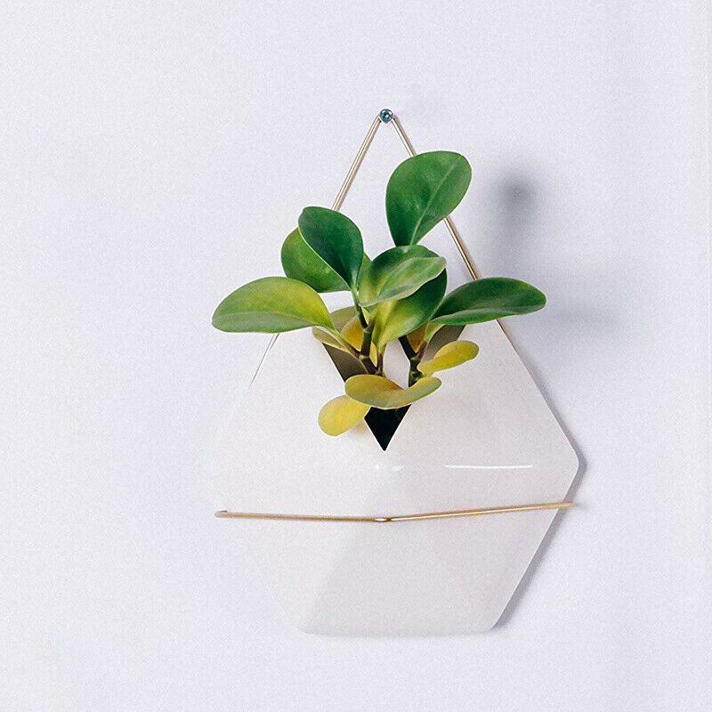 Flower Plant Pot Indoor Outdoor Garden Wall Fence Hanging Planter Box Pot Basket