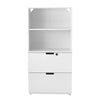 Filing Cabinet Free Standing Display Cupboard File Cabinet with 2 Drawer 1 Shelf