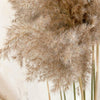 10x Natural Dried Pampas Grass Reed Flower Bunch Wedding Bouquet Home Decor