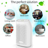 700ML Electric Dehumidifier Mould Moisture Extraction Air Purifier Auto Off UK