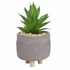 Artificial Succulent Plant With Pot | Faux Plant and Planter | Home Decor