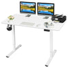 Flamaker Electric Standing Desk Height Adjustable Standing Desk for Home Office