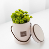 Handheld Bouquet Flower Round Boxes Living Vases Florist Box Plant Boxes Paper