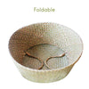 Foldable Seagrass Woven Storage Plant Flower Pot Belly Basket Laundry Hamper SA