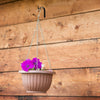 10Pcs Indoor Metal Hanging Plant Hooks Basket Brackets Outdoor Garden Wall Decor