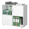 Mobile File Cabinet Lateral Filing Cabinet with 2 Drawers and Open Compartments