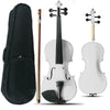 4/4 Full Size Acoustic Violin Set with Case Bow Rosin Bridge White
