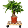 2 Pack Vintage Style Wooden Plant Pot Caddy Garden Planter Trolley Stand 30cm