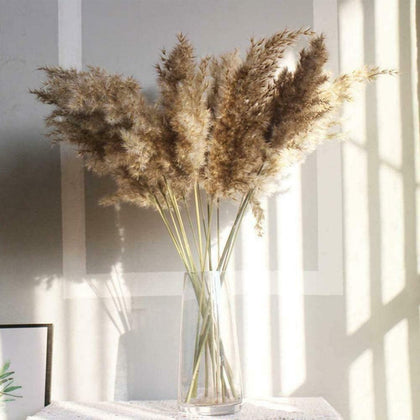 10x Natural Dried Pampas Grass Reed Flower Bunch Wedding Bouquet Home Decor