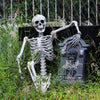 Large Poseable Full Life Size Human Skeleton 165cm Halloween Horror Deocration