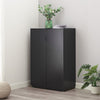 Cabinet with 2 Doors Storage Units Cupboards Cabinets 2 Shelves for Office Home