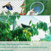 2m X 10m Anti Bird Pond Netting Net Plants Veg Fruit Protection Garden Fine Mesh