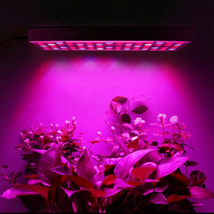 169 LED Grow Light Hydroponic Full Spectrum Indoor Veg Flower Plant Lamp Panel