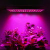 169 LED Grow Light Hydroponic Full Spectrum Indoor Veg Flower Plant Lamp Panel