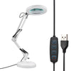 LED Large Lens Lighted Lamp Top Desk 8x Magnifier Magnifying Glass 3-Level Light