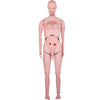 Nursing Training Manikin Patient Care Model Life-size PVC Male/Female