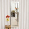 Extra Large Wall Mirror Silver All Glass Art Deco Full Length 120cm X 40cm