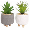 Artificial Succulent Plant With Pot | Faux Plant and Planter | Home Decor