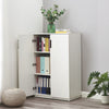 Cabinet with 2 Doors Storage Units Cupboards Cabinets 2 Shelves for Office Home
