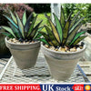 Suncatcher Stained Agave Plante Decor Garden Ornament UK