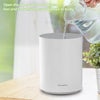 2.5L USB Electric Air Humidifier LED Night Light Air Purifier Home Relax Defuser