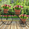 3 Pot Rugged Plant Stand Tricycle Flower Cart Holder Garden Storage Container