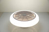 Modern LED Ceiling Fan Light Lighting Adjustable Wind Speed Dimmable W/ Remote