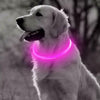 Light up LED All Size Dog Collar Adjustable USB Rechargeable Pet Safety Luminous