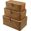 Set of 3 Storage Basket Organiser Box With Lid Hamper Seaweed Resin Woven Home
