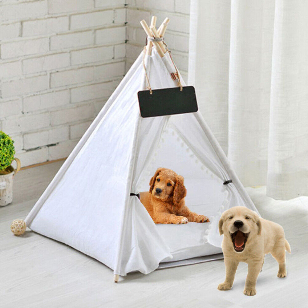 Dog teepee with store cushion